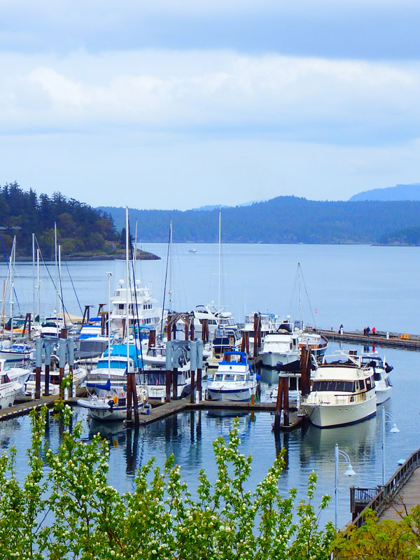 Discovery Inn Friday Harbor Hotel & Lodging San Juan Island